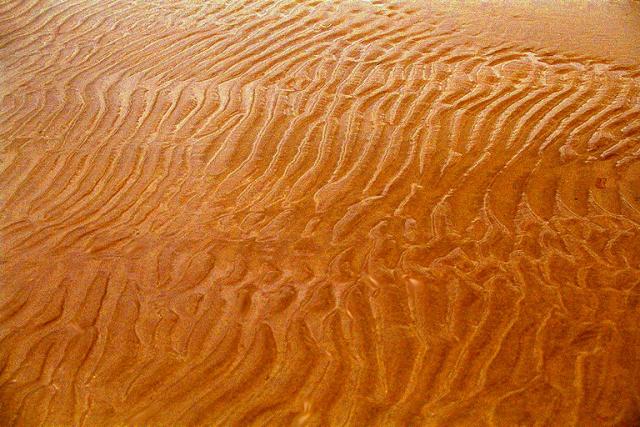 DESERT.JPG