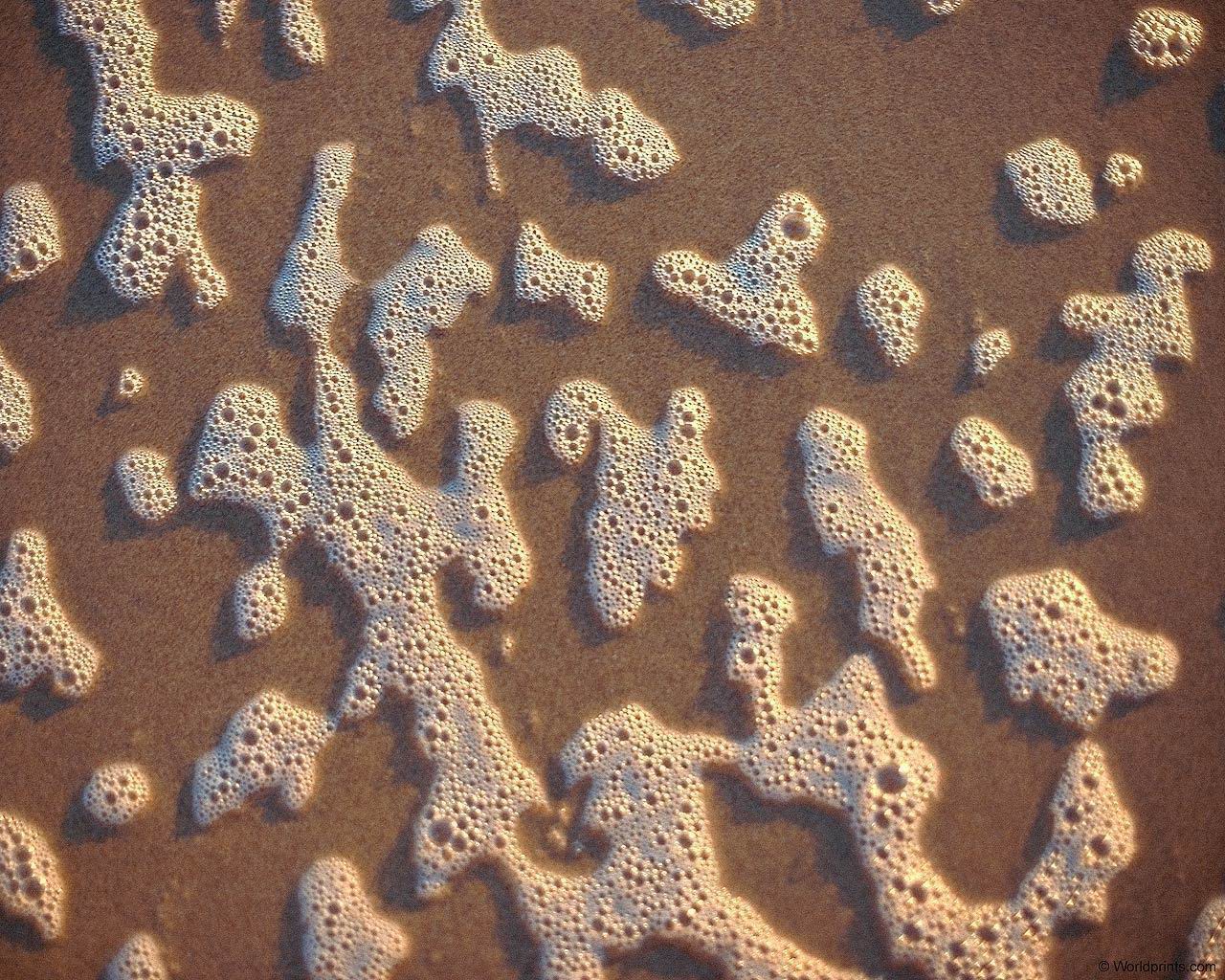 foam_on_sand.jpg