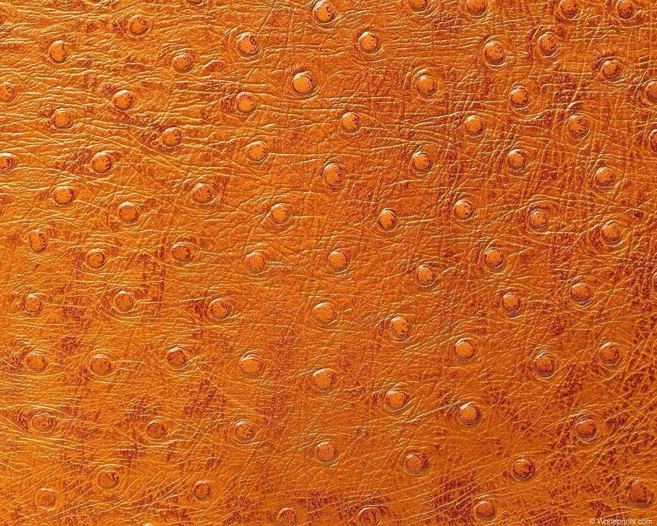 animal_patterns_17.jpg