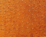 animal_patterns_17.jpg