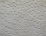 animal_patterns_22.jpg