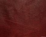 animal_patterns_24.jpg