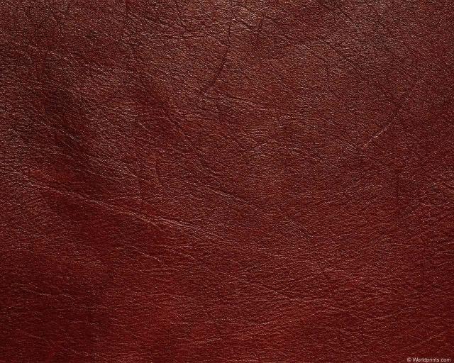 animal_patterns_24.jpg