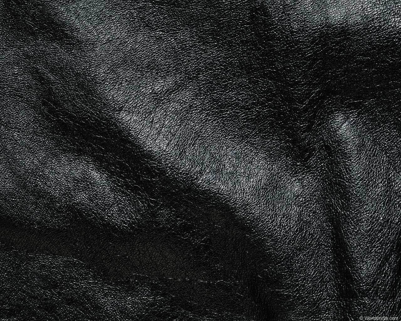 animal_patterns_26.jpg