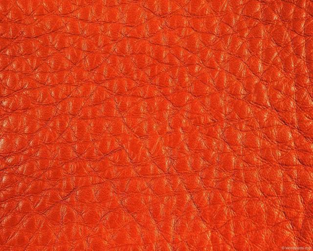 camelleather.jpg