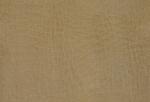 DEERSKIN.JPG
