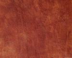 fine_leather.jpg