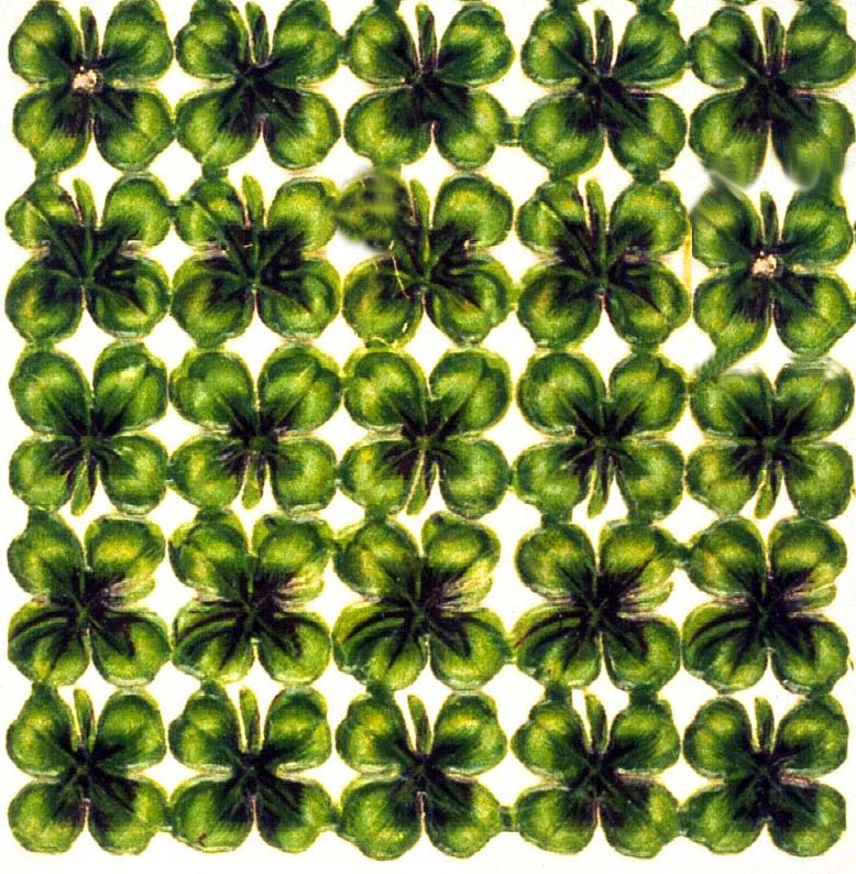 CLOVERS.JPG