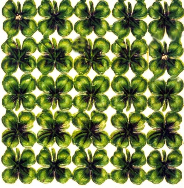 CLOVERS.JPG