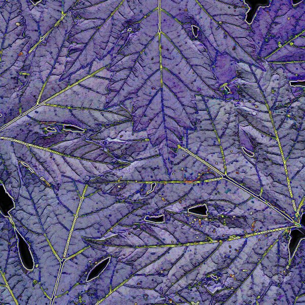 LEAF03.JPG