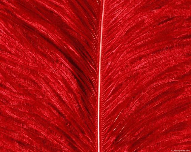 animal_patterns_12.jpg