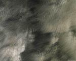 brush_stroke1.jpg