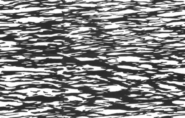 BWBARK24.JPG