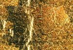 GOLDFOIL.JPG