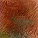 STROKES1.JPG