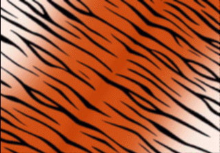 TIGERS_1.JPG
