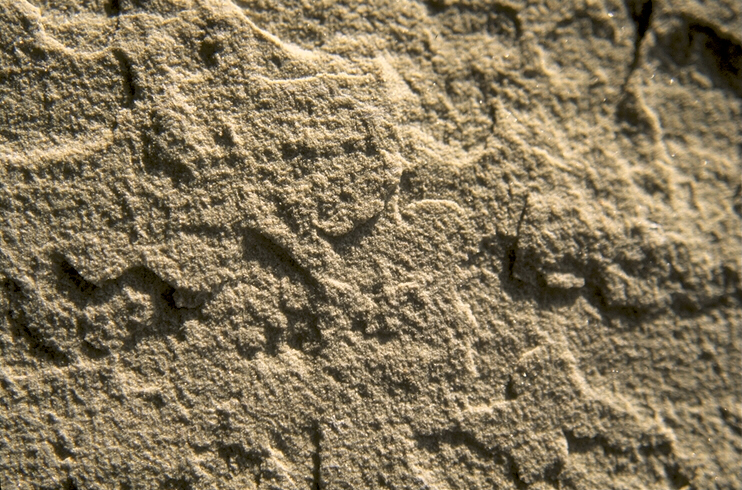 137004B.JPG
