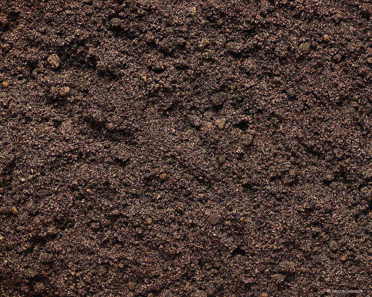 brown_sugar.jpg