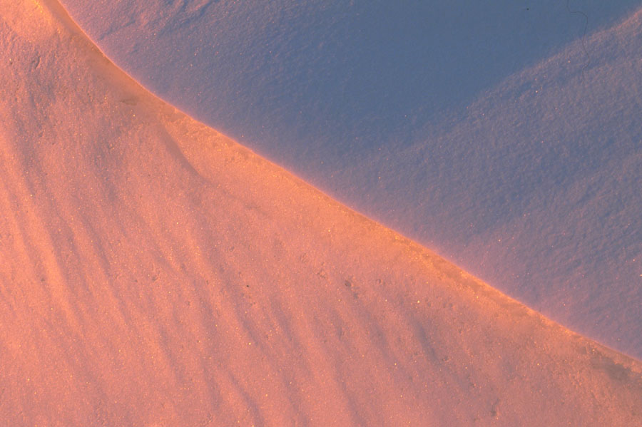 DESERT_.JPG