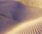 dunes2.jpg