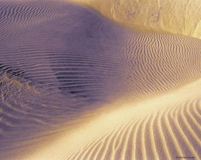 dunes2.jpg