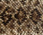 animal_patterns_35.jpg