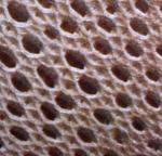 HOLES01.JPG