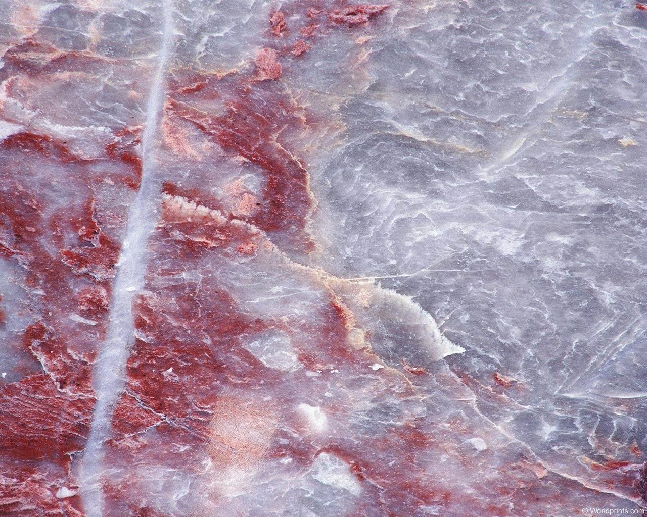 bt_015.jpg
