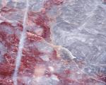 bt_015.jpg