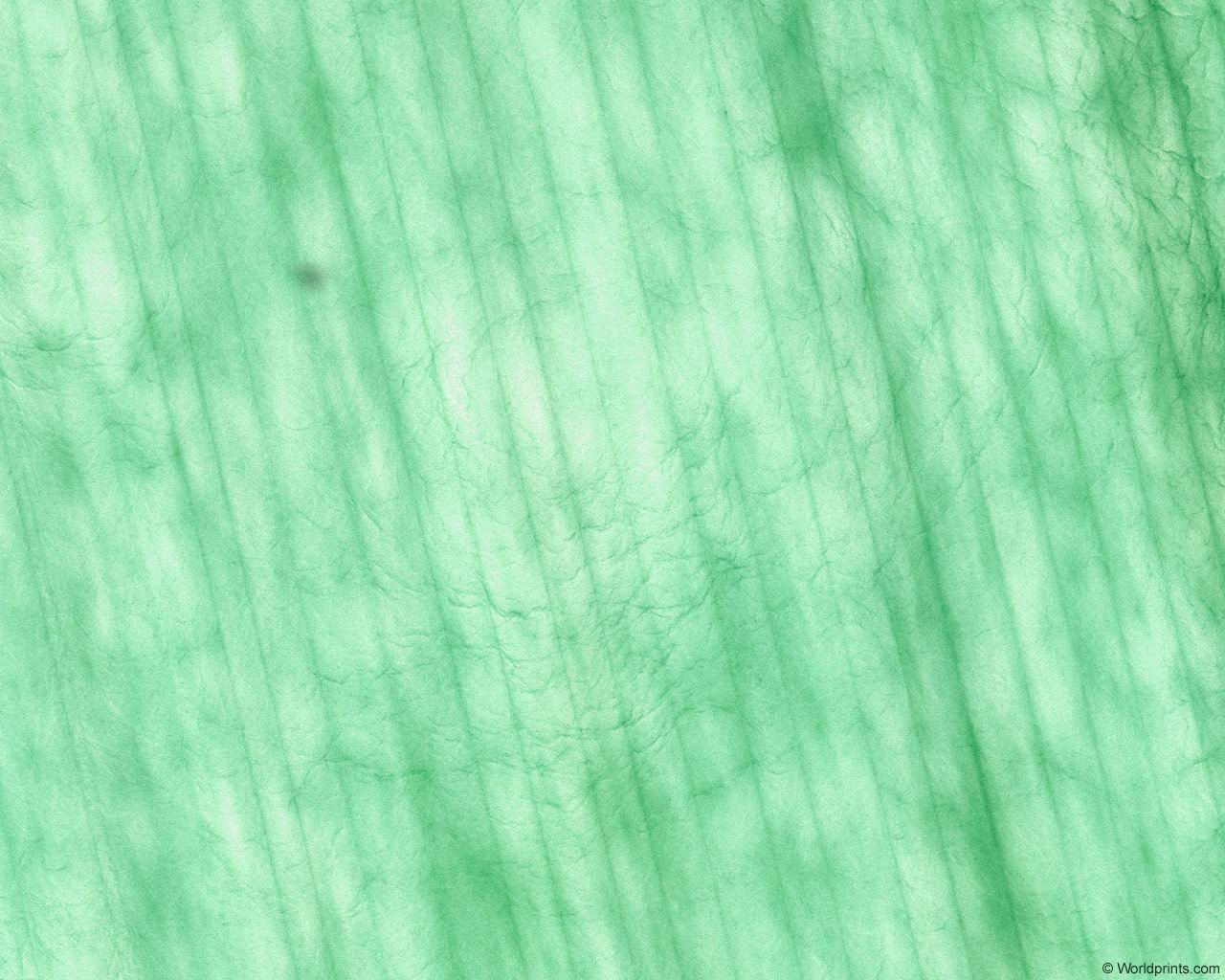 green_pattern1.jpg