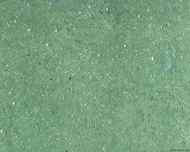 green_texture-_1.jpg
