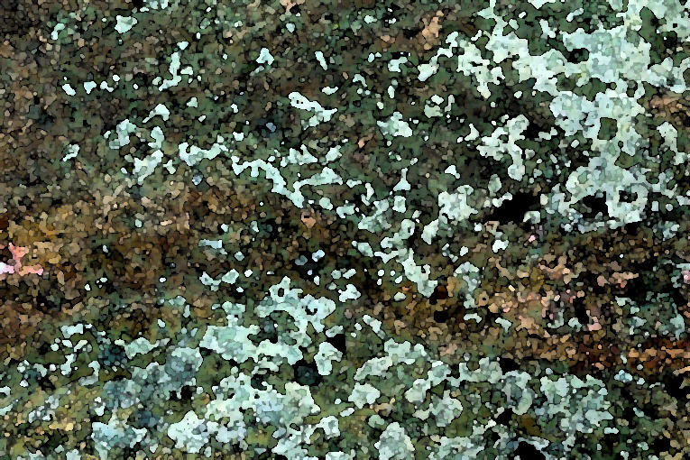 STONE04.JPG
