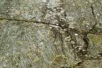 STONE06.JPG
