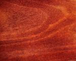 africanmahogany2.jpg