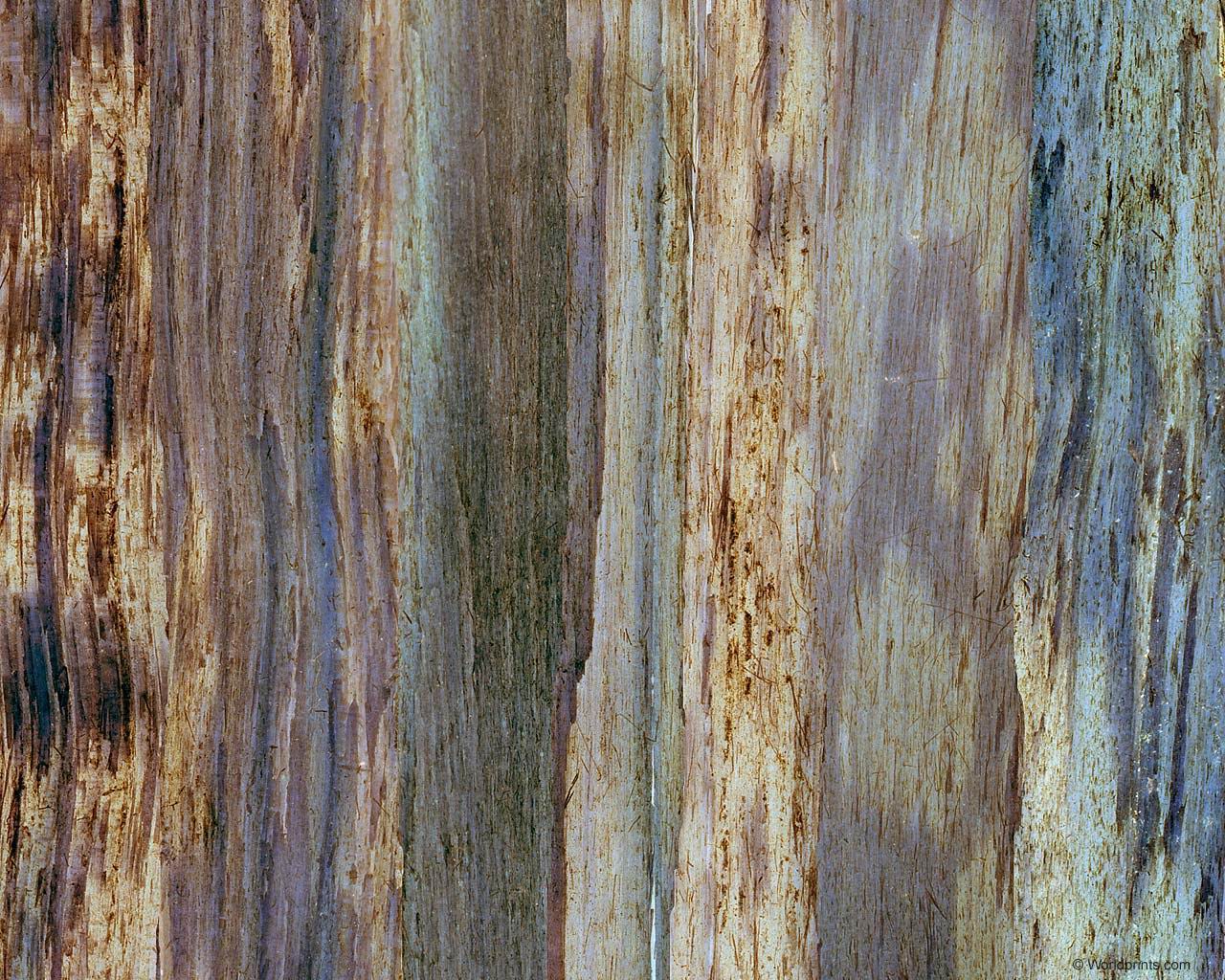 coloredwood.jpg