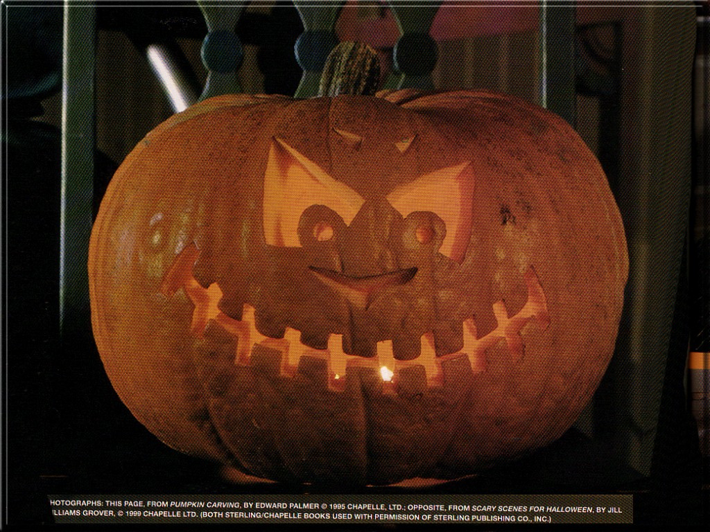 Photo of pumpkin for Hallowmas
