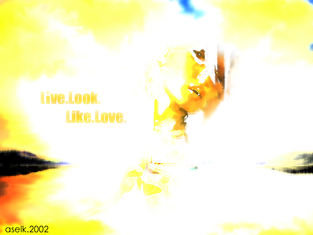 00540.jpg