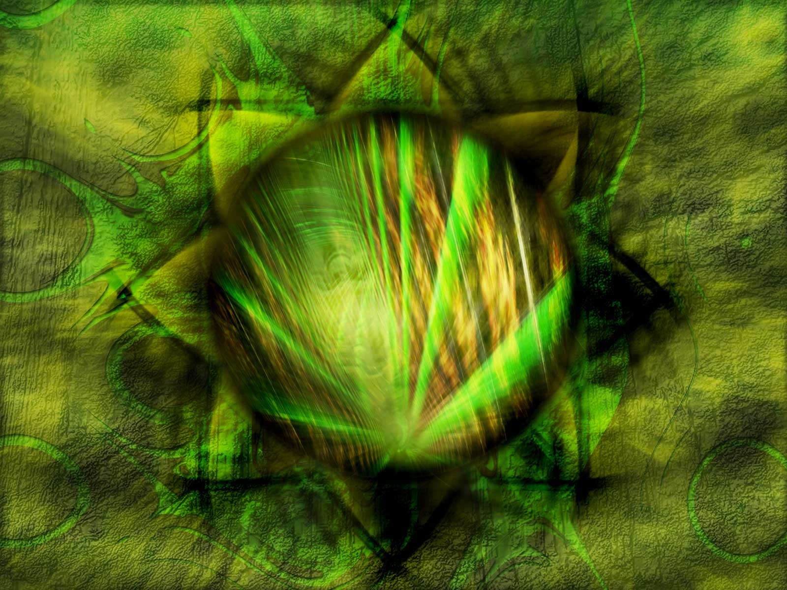01583.jpg