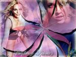britney_spears_63.jpg