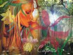caprice_bourret_56.jpg