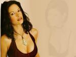 catherine_zeta_jones_12.jpg