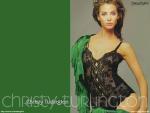 christy_turlington_8.jpg