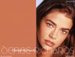 denise_richards_40.jpg