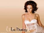 elizabeth_hurley_15.jpg