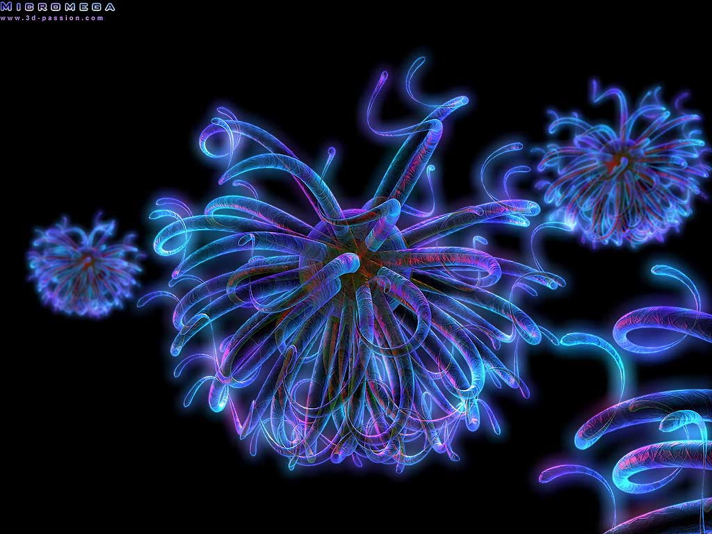 3d_050.jpg