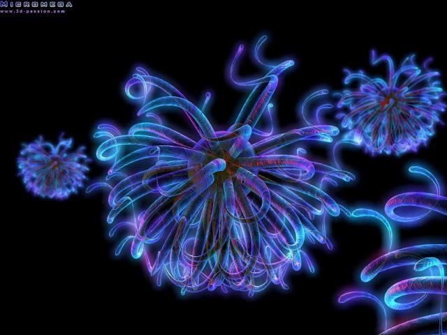 3d_050.jpg