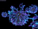3d_050.jpg