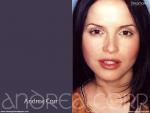 andrea_corr_1.jpg