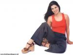 sandra_bullock_2.jpg