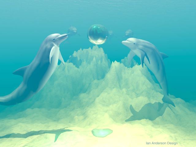 Dolphin_20fun.jpg
